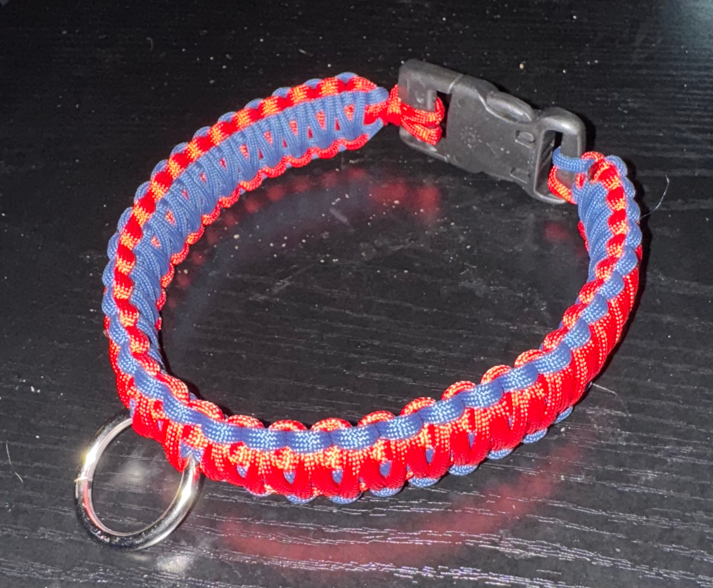 Dog Collars